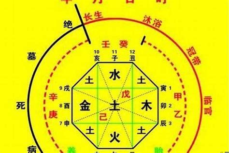 八字用神怎么看|八字入门基础 第六篇 如何判断八字喜用神